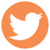 Twitter Icon